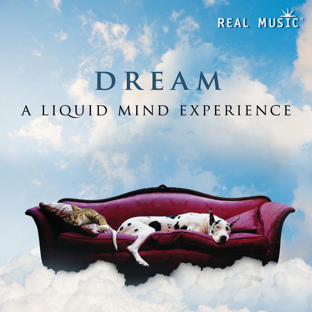 DREAM: A Liquid Mind Experience