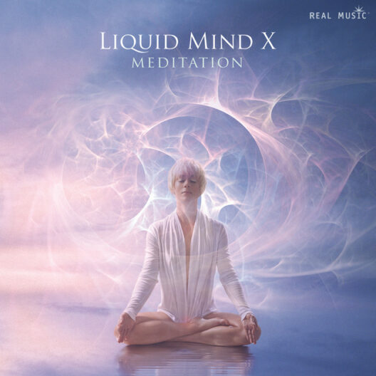Liquid Mind X Meditation Art