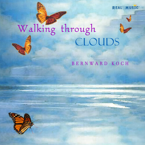 Walking Through the Clouds